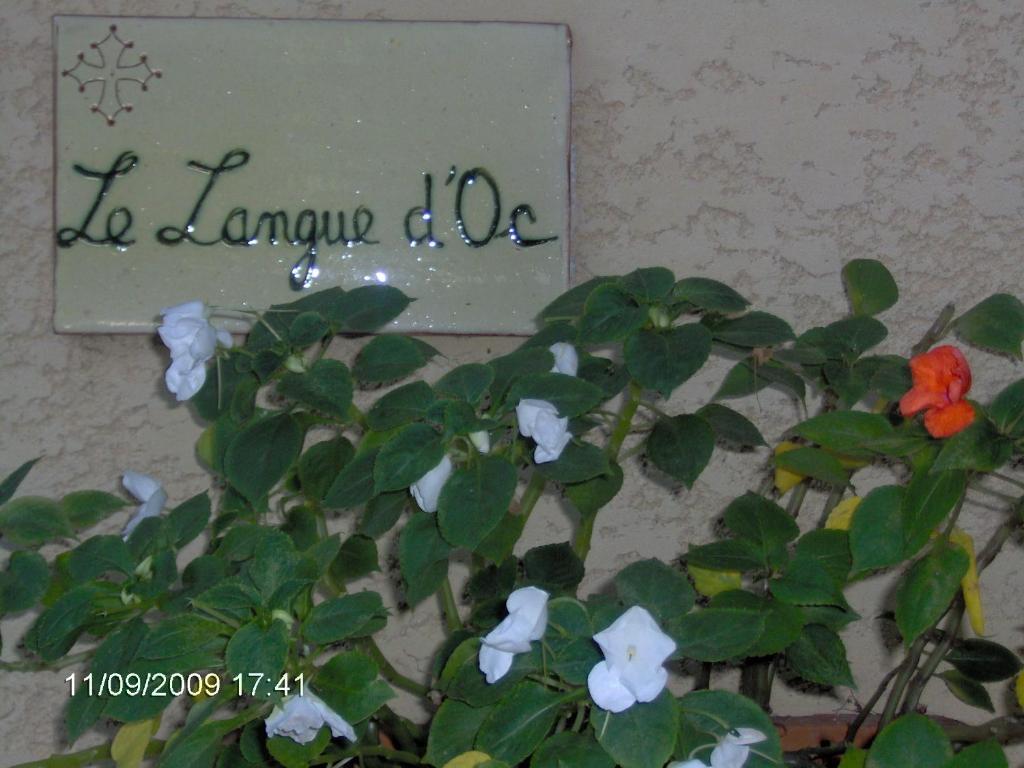 Hotel Le Langue D'Oc Agde Luaran gambar